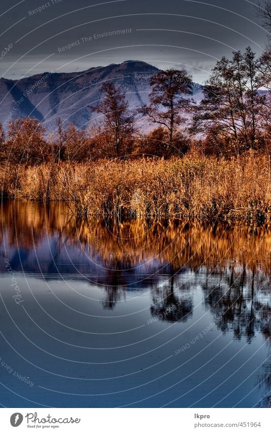abstract autumn lake Relaxation Vacation & Travel Trip Mountain Nature Sky Clouds Autumn Tree Leaf Hill Lake Line Dirty Blue Brown Yellow Gray Red Colour marsh