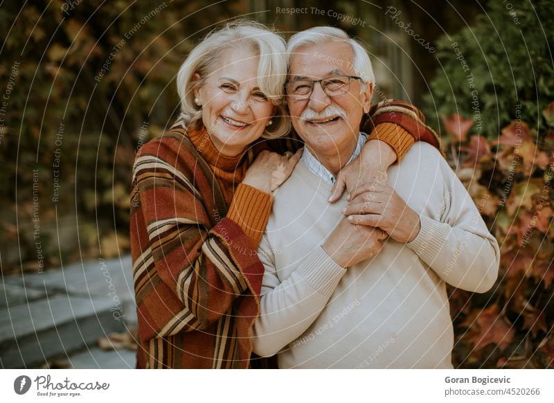 Senior couple embracing in autumn park old senior love woman smiling husband retired wife outdoors romance mature casual relationship people elderly happy