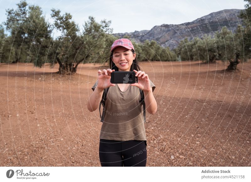 Woman taking a photo with smartphone woman take photo olive tree grove branch capture countryside photography gadget mobile device summer green female using