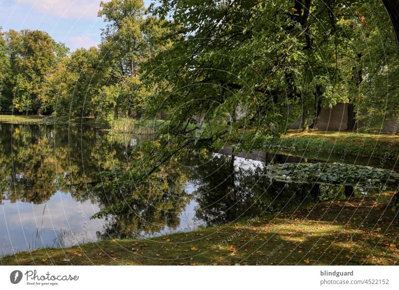 The small lake in the pleasure garden of Krumlov Castle, in the Czech Republic on the Vltava River Lake Artificial romantic Calm Water Restorative Sky