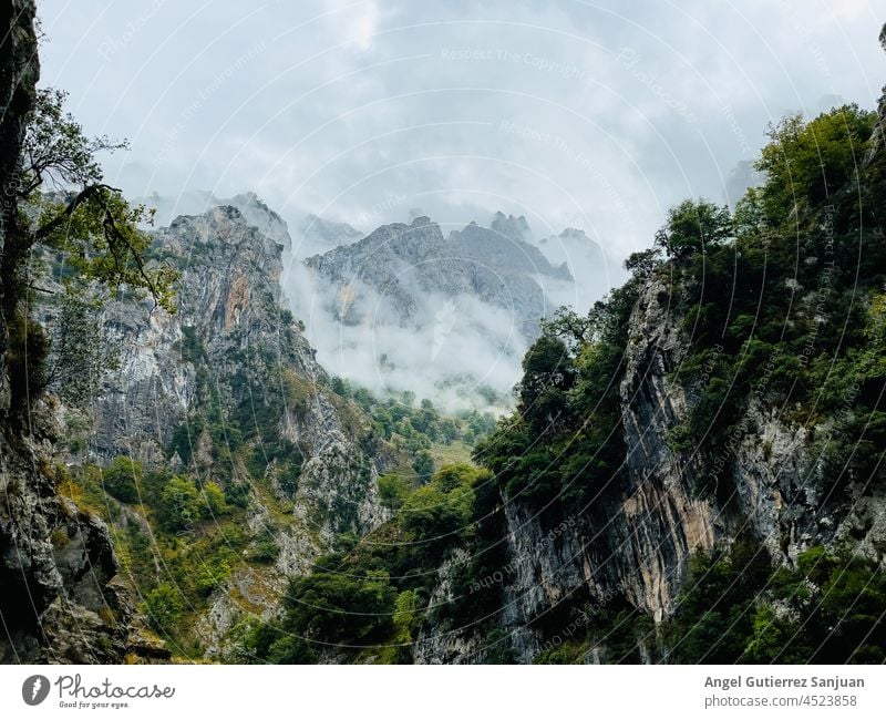 View of the mountain landscape on the Ruta del Cares in the Europe peaks, in Asturias, Spain. nature scenery mountains foggy mist asturias spain route park hill