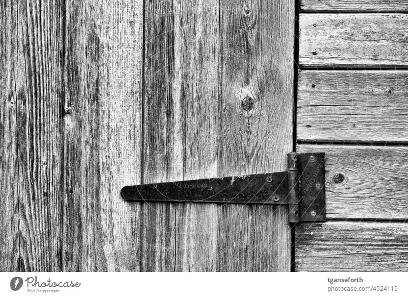 garden shed Hinge Wood Deserted Old Metal Detail Rust Transience Structures and shapes Exterior shot Close-up Abstract Pattern Ravages of time Trashy Decline