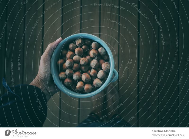 Woman holds light blue bowl with hazelnuts in hand Hazelnut Food Colour photo Nutrition Vegetarian diet Brown Close-up Deserted Organic produce Delicious