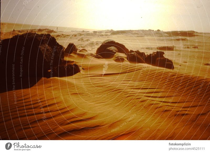 Wüste: Felsen und Sand Sahara Sandverwehung Desert desert Hot Loneliness Deserted Dune Adventure Africa Yellow dry wave Landscape Nature Sun Vacation & Travel