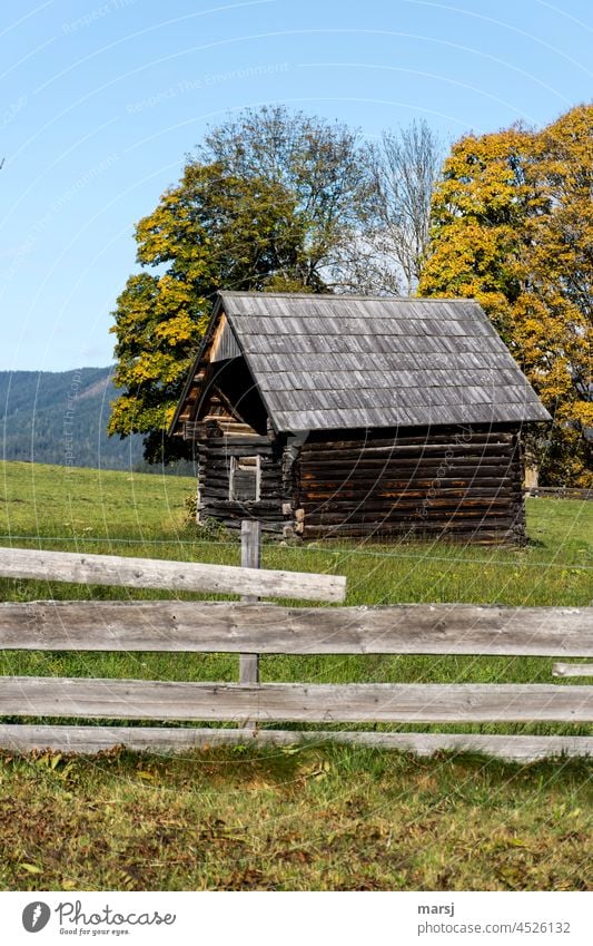 Autumn idyll behind board fence. Hay barn in a pasture Hut hay barnyard Stadl Hayrick Wooden hut Old Rustic Solid contemporary history Quaint Agriculture Brown