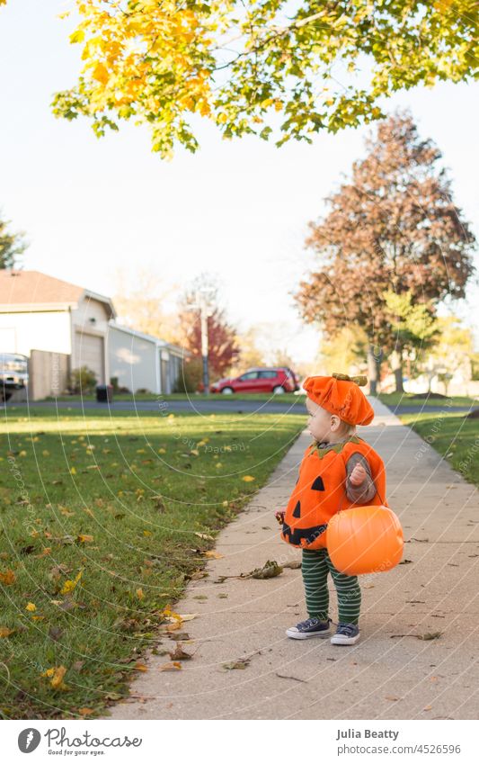 18 month old toddler wearing a jack-o-lantern pumpkin costume while trick or treating in their neighborhood halloween orange fleece cozy holiday autumn