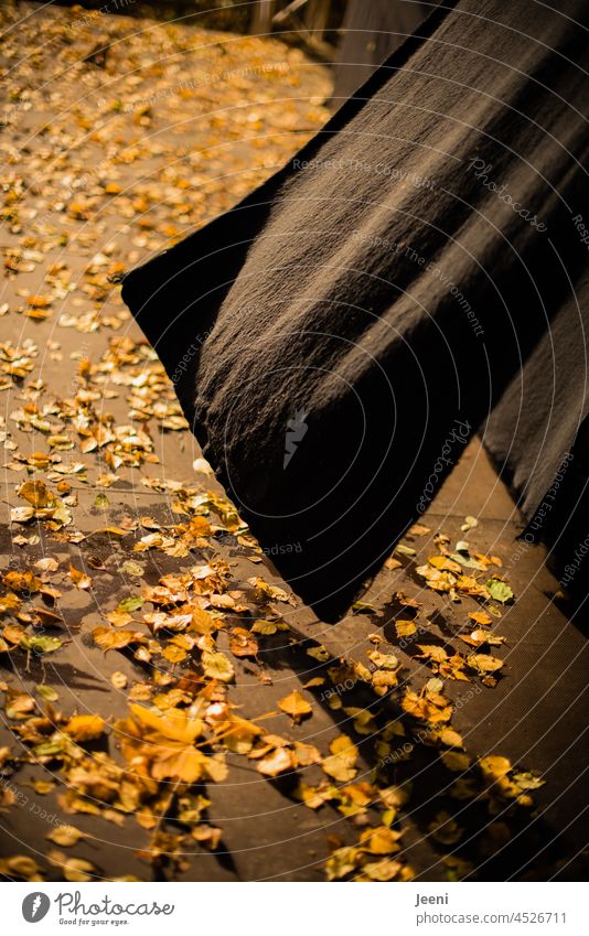 Photocasler Meeting Berlin | Stage Light and Autumn Wind Autumnal foliage windy Sunlight sunshine Shadow Shadow play open-air stage Black Drape Blow stage light