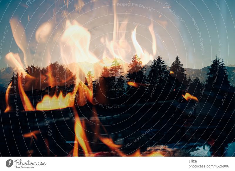 Double exposure: fire, mountains and forest Fire Forest Nature trees firs Open fire Autumn Mountain Alps Cozy Burn blaze Flame