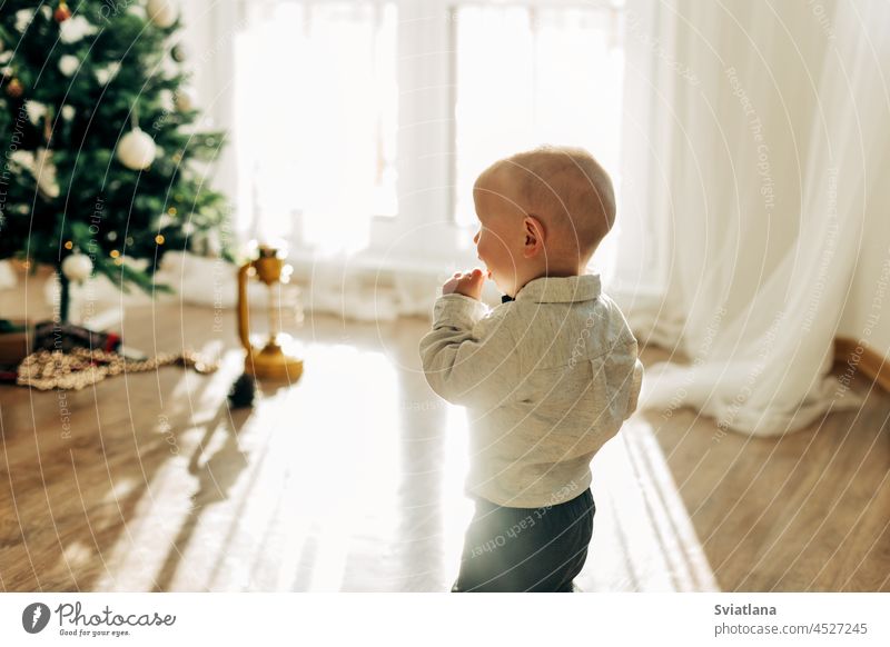 A little boy on the background of a window and a Christmas tree on a festive morning. Side view laughing baby christmas new year celebration time