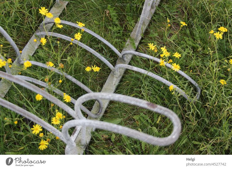 Bicycle stand in a meadow with yellow flowers Bicycle rack Metal Meadow Plant Summer Summerflower Close-up Detail Exterior shot Deserted Colour photo Flower