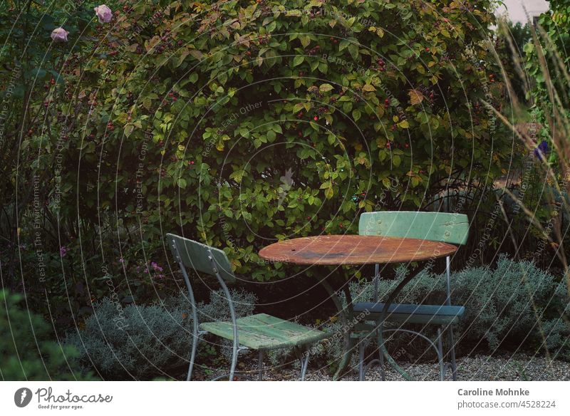 Green garden chairs and table in a secluded garden Garden Plant Nature Spring Flower Blossom Blossoming Colour photo Exterior shot Deserted