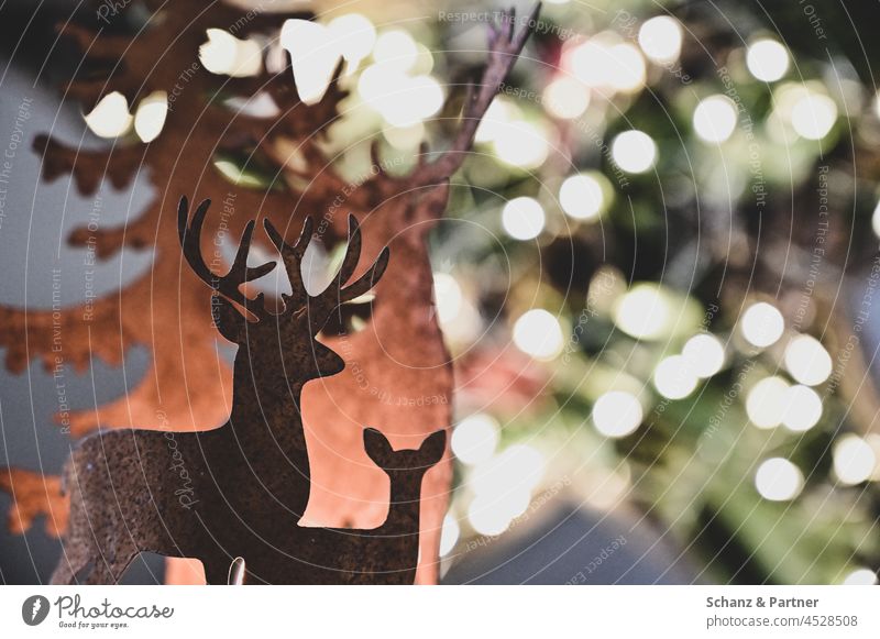 Christmas decoration with deer ornament Decoration stag reindeer buck Roe deer Hind christmas ornaments Christmas tree holidays Christmas & Advent