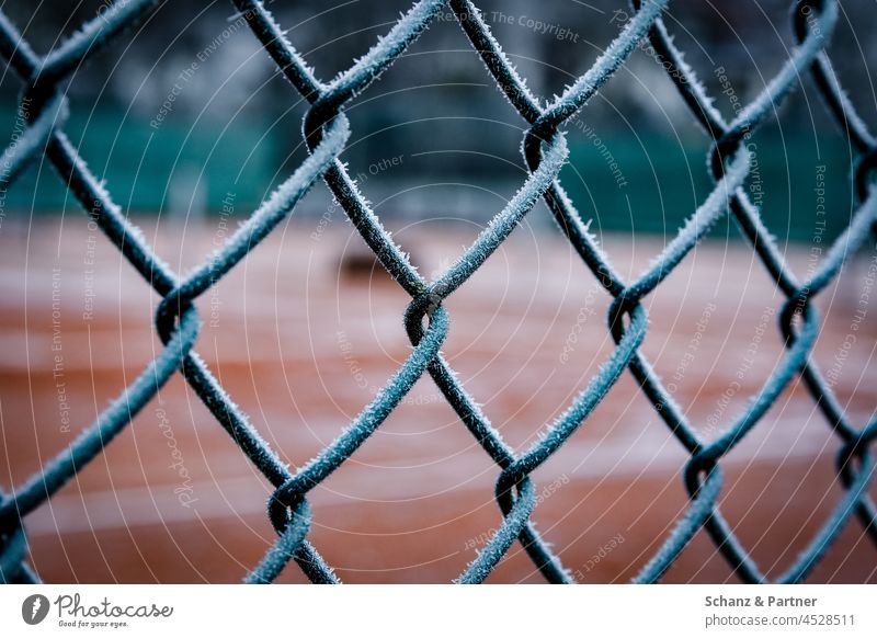 Fence in front of tennis court with frost Winter Frost Hoar frost Wire netting fence Sporting grounds chill Cold winter Frozen Ice Freeze Ice crystal