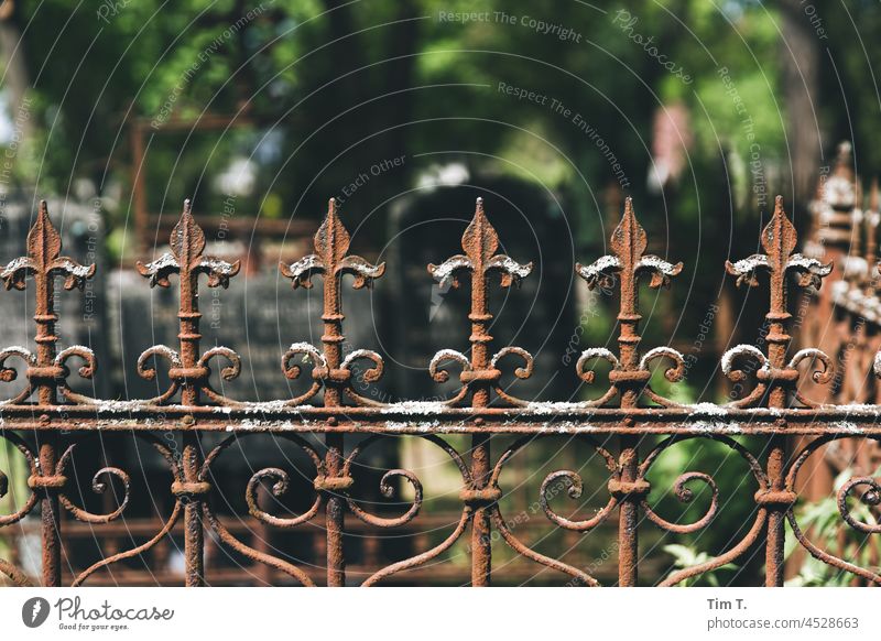 an old fence in a cemetery Cemetery Colour photo Autumn Berlin Middle Downtown Berlin Capital city Town Architecture Deserted City Exterior shot Germany Grave