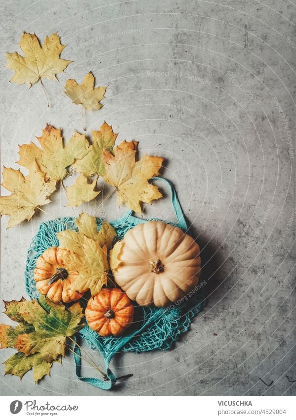 Various pumpkins in reusable shopping bag with autumn leaves  on grey concrete background. Sustainable and plastic free autumn concept with seasonal vegetables. Top view.