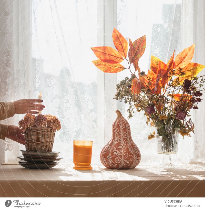 Woman hands make autumn bouquet on table with pumpkin,  candle, plates at window background with romantic white curtain. Cozy autumn concept with seasonal decoration. Front view.