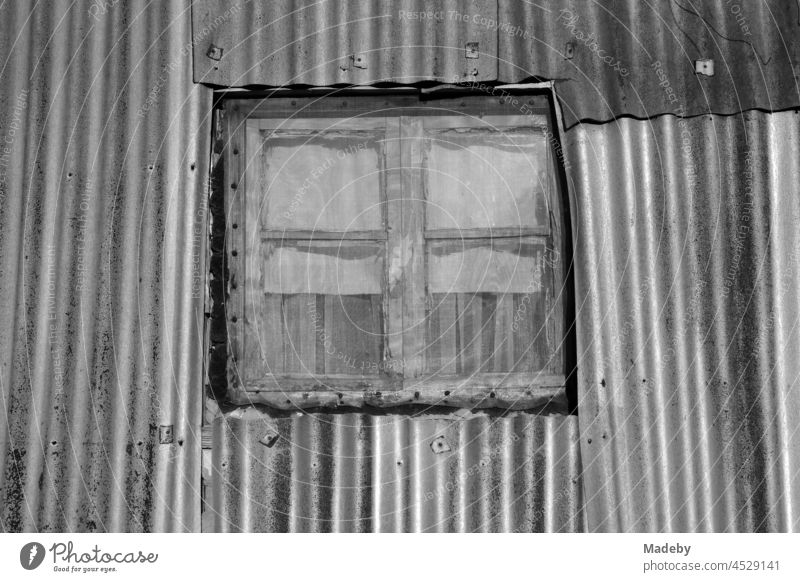 Old wooden window with curtain and insect screen in old silver-grey corrugated iron facade of a residential house in summer in the village of Maksudiye near Adapazari in the province of Sakarya in Turkey, photographed in neo-realistic black and white