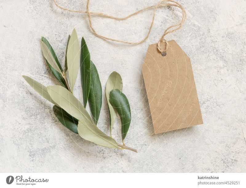 Blank gift tag on table with olive tree branch Wedding mockup card Mediterranean rustic top view white blank vintage twig green craft kraft label beige leaves