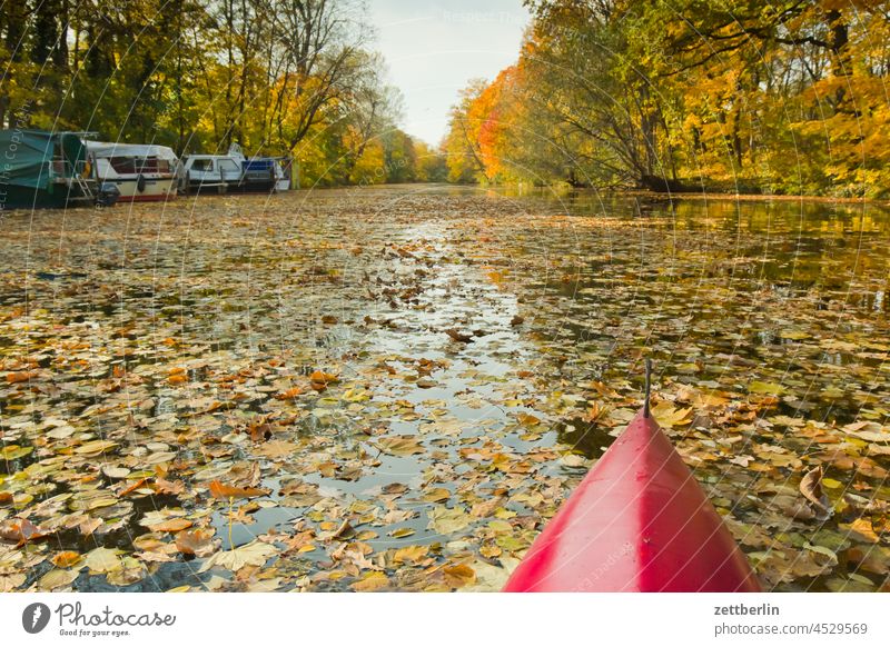 Canoe in autumn Trip boat Relaxation holidays River Autumn Autumn leaves Channel Landscape foliage Foliage colouring Nature Paddle canoe Rowboat ship Navigation