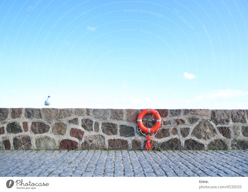 Chief visit - Seagull on a stone wall with lifebelt and sky stones Wall (barrier) Mole Life belt off Sky cloud Safety Protection Maritime Stone wall Lifesaving