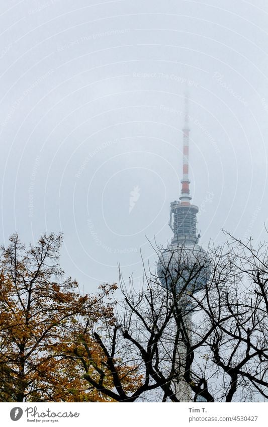 the television tower behind autumn trees Berlin Autumn Colour photo Tree Television tower Middle Downtown Berlin Berlin TV Tower Landmark Capital city