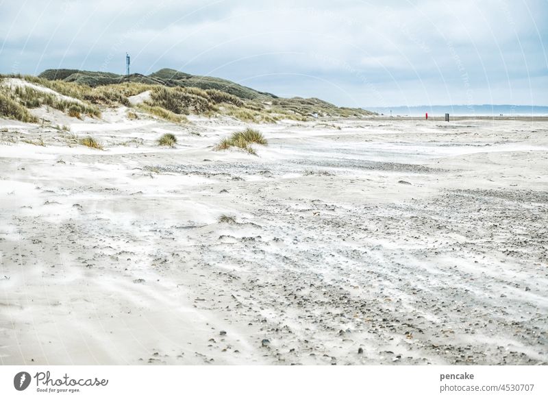 lightness | sandstorm Beach North Sea Sand Sandstorm Ease Flying Grains of sand Denmark coast Vacation & Travel Ocean duene