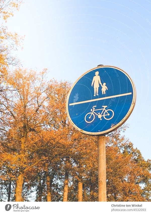 Signs | Traffic sign "common walking and cycling path" in front of autumnal trees and light blue sky Road sign street sign shared walkway off cycle path Blue