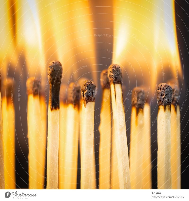 A group of burning matches, square fire stick matchstick flame concept danger light wood wooden red different difference idea yellow