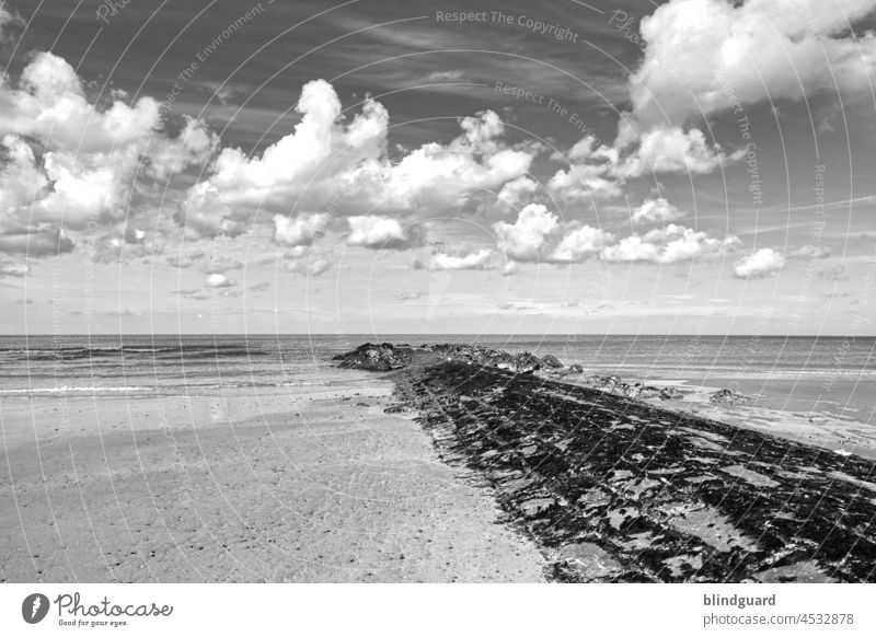 Memories in black and white Longing Belgium Ocean North Sea breakwater Water Sand Beach Horizon colourless faded Clouds Sky coast Nature Freedom Tourism