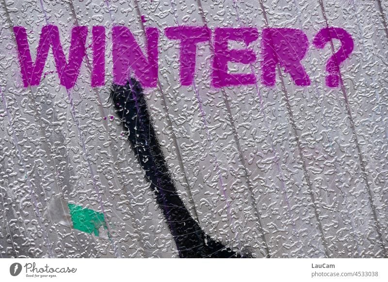 Purple winter ? Winter Season Seasons Cold Graffiti Illustration Street art Characters Creativity Mural painting Typography Daub purple pink lettering Word Snow