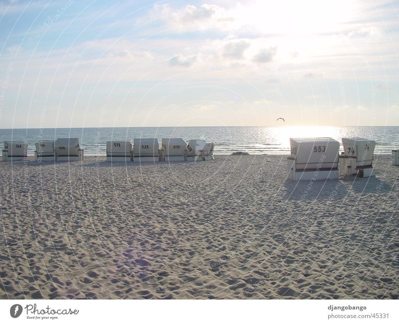 Sylt Beach Beach chair Sunset Ocean Bird