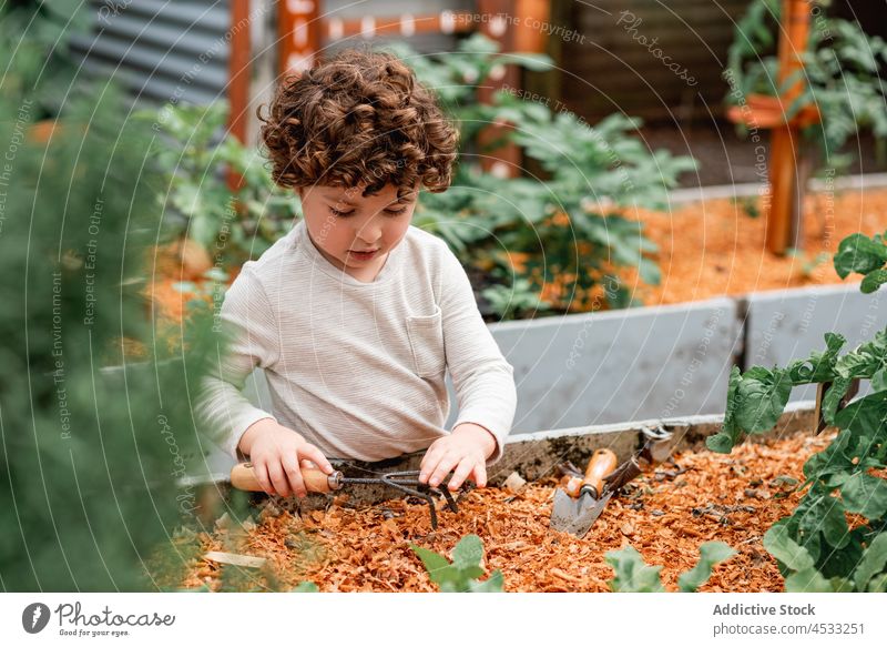 Cute kid with spade in garden boy shovel curious cultivate plant help tool bed seeding agriculture curly hair grow horticulture child soil small vegetate little