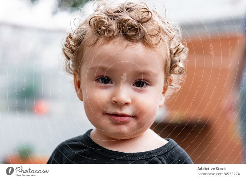 Cute little boy with curly hair kid portrait childhood innocent human face appearance cute gaze brown eyes small headshot carefree adorable feature tender stand