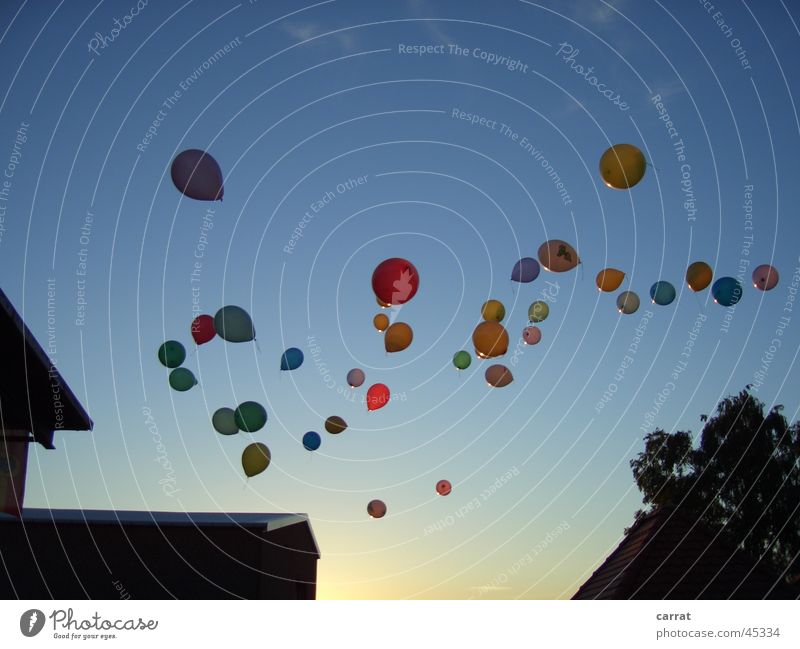 1 2 3 4 ... 50 balloons on their way to the horizon Balloon Soap bubble Multicoloured Aviation Feasts & Celebrations