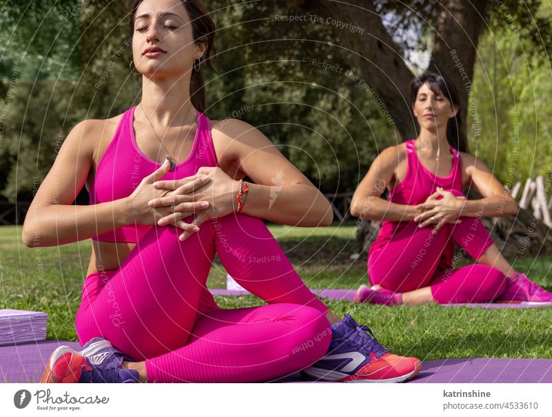 Two women practicing yoga and meditation in park on summer woman pilates asana health stretching pink green sunny middle aged young outdoor fitness workout