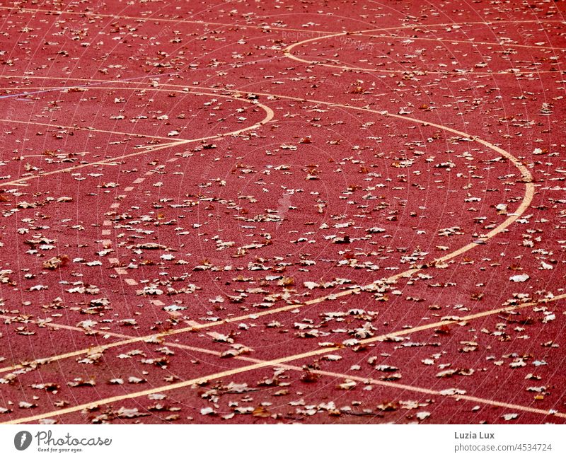 Sports field red, many lines and autumn leaves Sporting grounds Red pebble red multifunctional curves Autumn leaves Autumnal Autumnal colours foliage Yellow