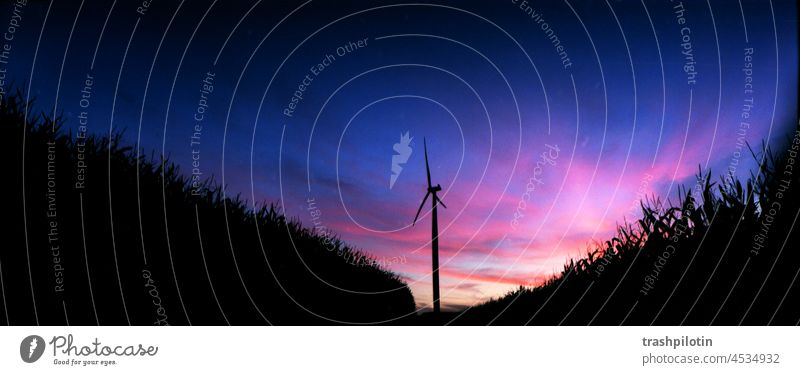 Sundown in the field Sunset blue hour Field fields panorama Wind energy plant wind power Pink Sky Twilight Energy Ecological Pinwheel Sustainability Electricity