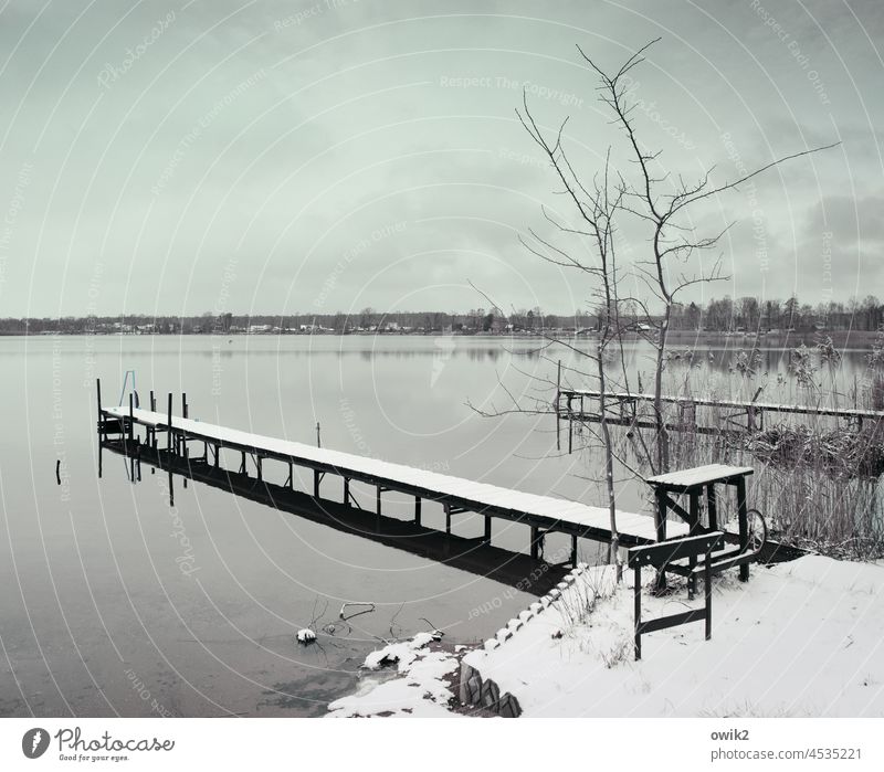 long bench Lakeside trees jetty Footbridge rail Protection To hold on Sky Forest Calm Water Idyll Horizon Reflection Clouds Mysterious Nature Exterior shot