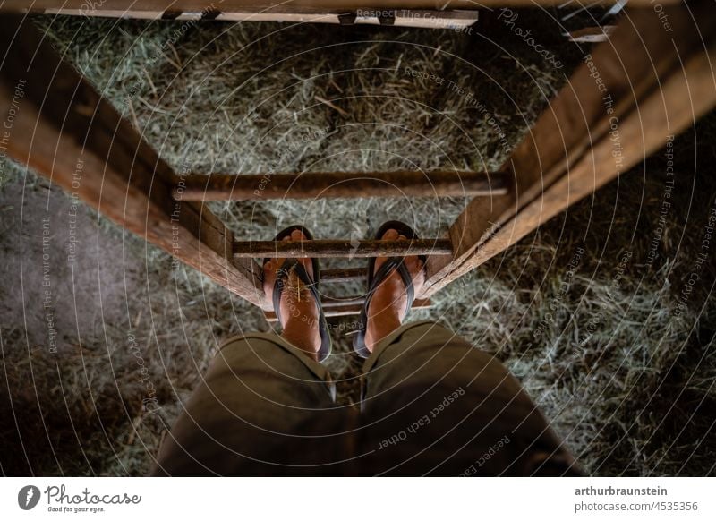 Young farmer in sandals stands on old wooden ladder in barn Agriculture Farmer agriculturally Farmers Barn stables stable work stable lad Sandals Flip-flops