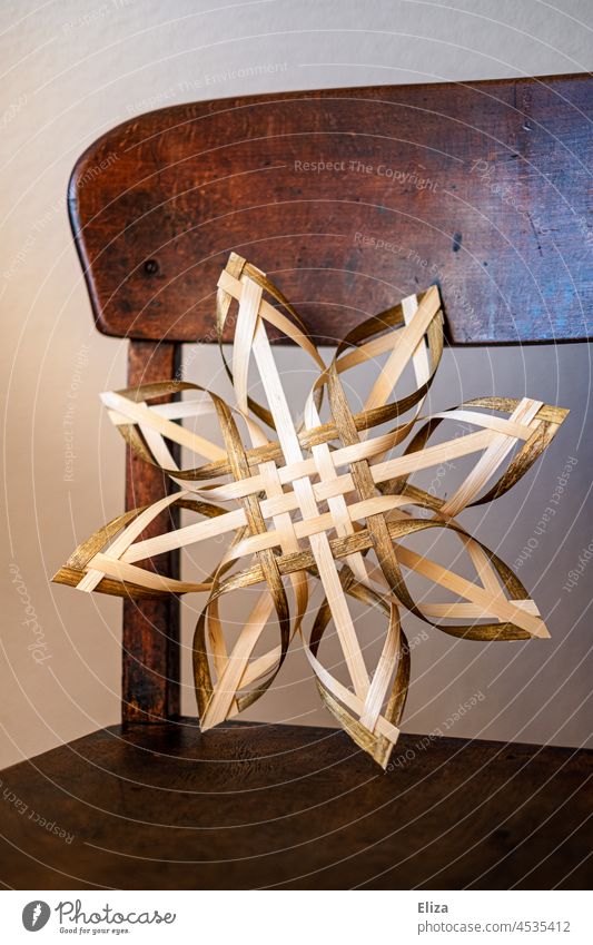 Poinsettia on a wooden chair. Christmas decoration. Christmas Star Wood Stars Christmas & Advent Gold golden Decent Beige cream at home