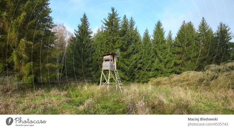 Panoramic view of a a forest with wooden deer and wild boar hunting tower. hide woods stand blind nature green landscape tree environment foliage day outdoors