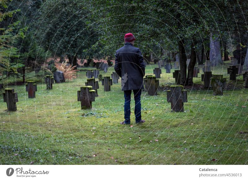 Man standing in front of graves in the cemetery Tombstone Cemetery look at devout Death Grief Past Graves Grass trees person tranquillity silent Green Gray Red