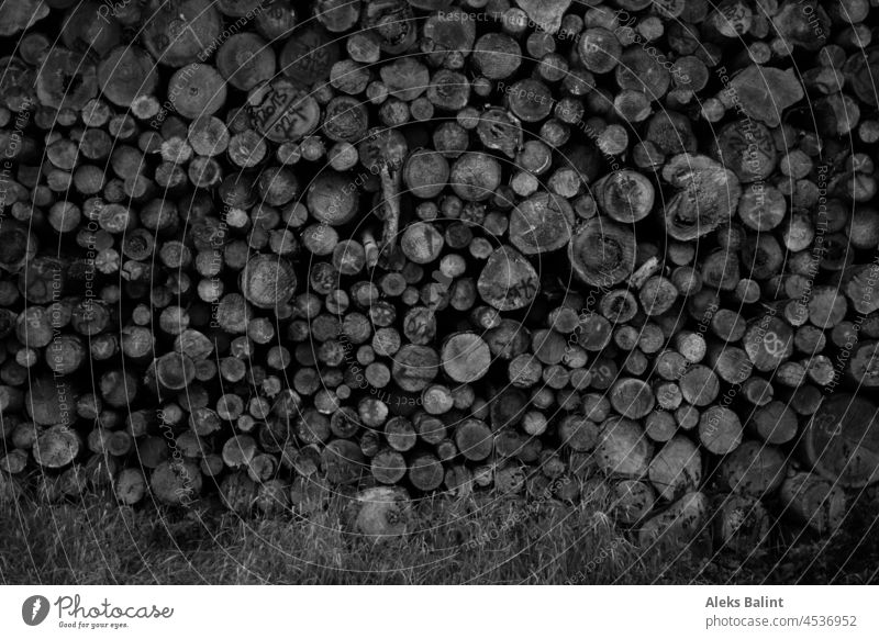 Stacked tree trunks in black and white stacked Wood Timber Nature Stack of wood Forest Forestry Logging Tree trees naturally Raw