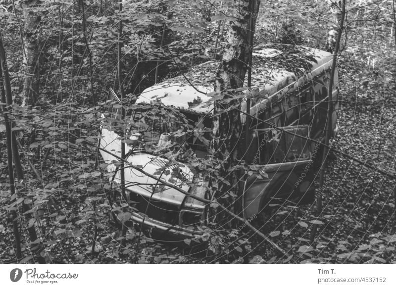 View from above of a car crashed into a tree Brandenburg b/w Black & white photo B/W Exterior shot B&W Calm Day Deserted Forest Accident Tree
