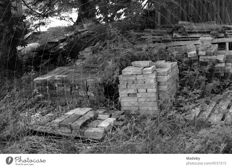 Carefully stacked old building blocks in the shade of old trees in front of a wooden hut on a farm in Rudersau near Rottenbuch in the district of Weilheim-Schongau in Upper Bavaria, photographed in neo-realistic black and white