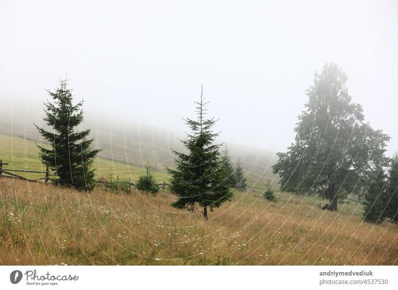 autumn meadow with a old wooden fence on a farm close up, in the Smoky Mountains on a foggy day. travel destination scenic, carpathian mountains green smoky