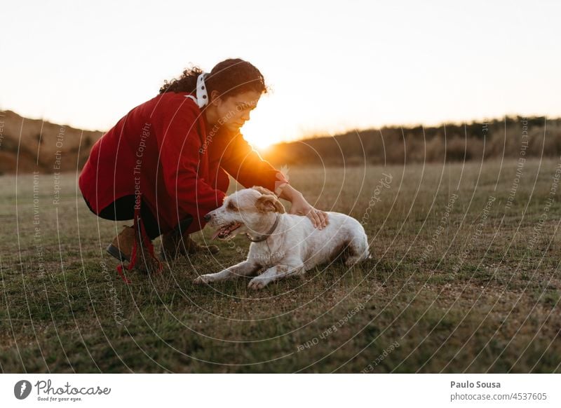 Woman and dog até sunset Dog Pet Together togetherness Sunset pet happy owner young woman love lifestyle friends outdoors happiness fun animal beautiful
