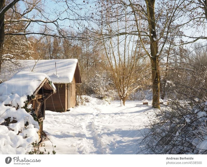 Wooden hut in a piece of forest, covered with snow after a heavy snowfall, beehives in the background tranquil scenic winter forest pavillion weather wood