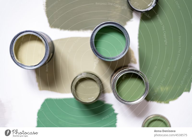 Choosing wall paints can brush pots sample choosing renovation sample pots color green moss basil pastel plastered liquid tin bucket home house decoration sage