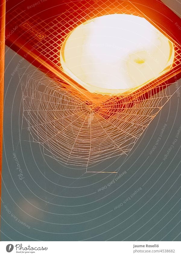 Warm light lamp on, with a spider web. glowing halloween horizontal horror lighting scary spooky storm night abstract copy space green backgrounds nature frozen